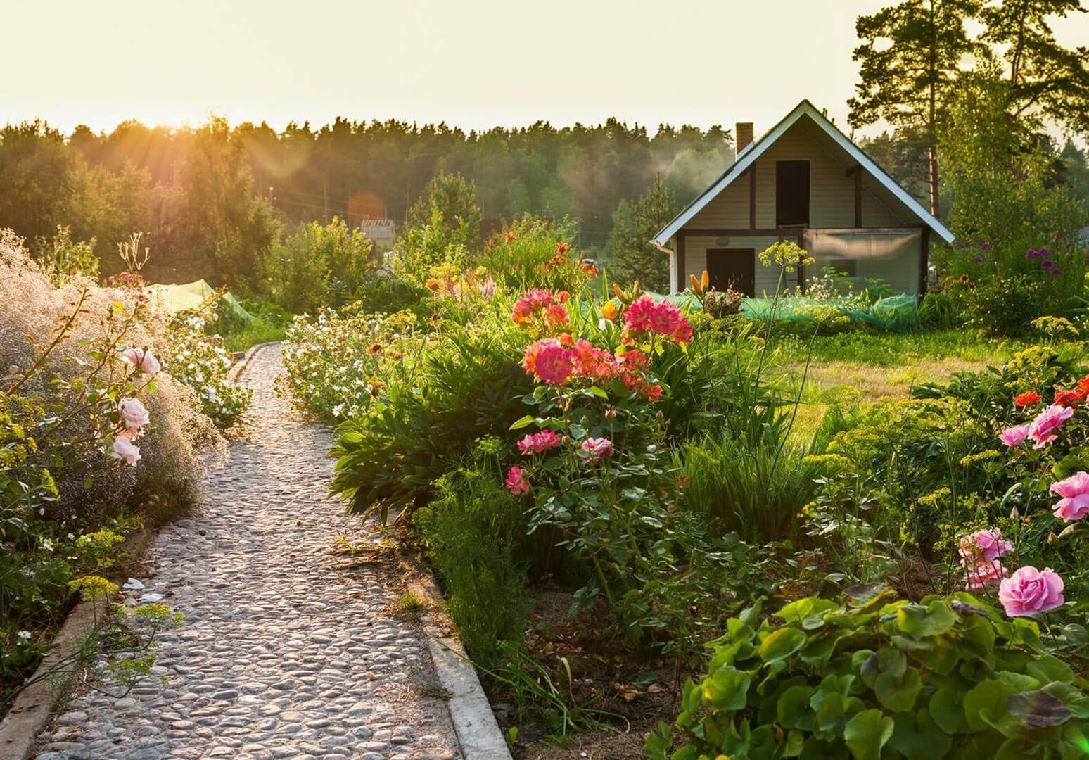 Garten mit vielen verschiedenen Pflanzen